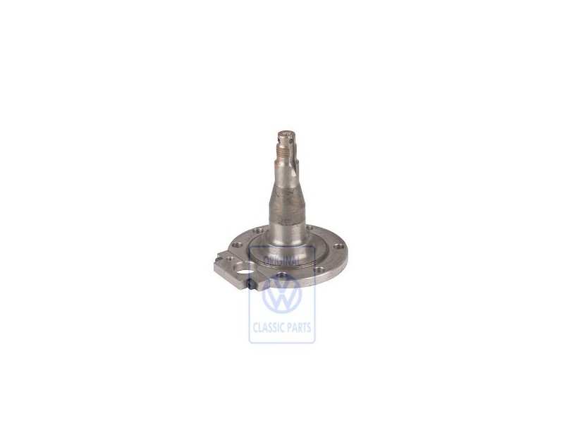 VW Original Achszapfen - 6K9501109