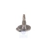 VW Original Achszapfen - 6K9501109