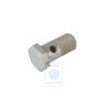 VW Original Hohlschraube - N 0210591