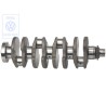 VW Original Kurbelwelle - 031105021AC