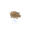 VW Original Schliessplatte - 443837232C