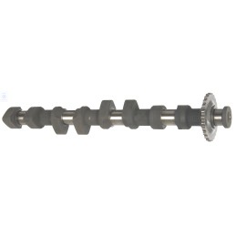 VW Original Nockenwelle - 027109021AH