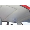 VW Original Dachverkleidung Rauchgrau - 173867501B 1AX