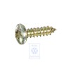 VW Original Linsenblechschraube - 255070240