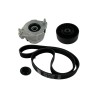 SKF Keilrippenriemensatz - VKMA 31210