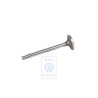 VW Original Einlassventil - 068109601D