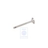 VW Original Einlassventil - 036109601D