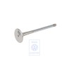 VW Original Auslassventil - 058109611M