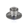 VW Original Radnabe Mit Lager - 6E0407621D