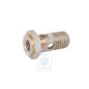 VW Original Hohlschraube Mit Filter - 035133505