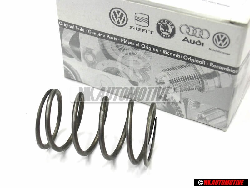 VW Original Druckfeder - 165419343