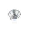 VW Original Scheinwerfereinsatz (Halogen) - 1GM941105