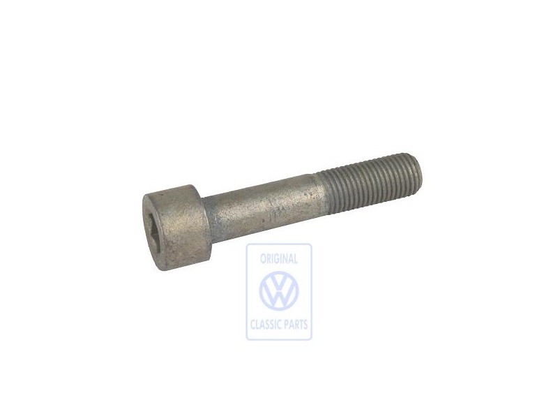 VW Original Zylinderschraube - 253260714