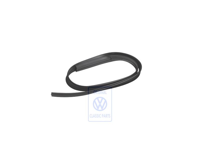 VW Original Führungsprofil - 253847613A